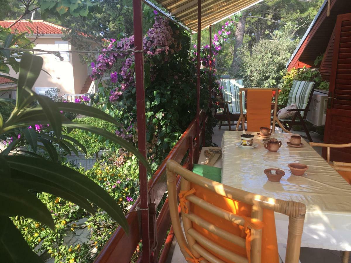 Apartmani Matas Petrčane Exterior foto