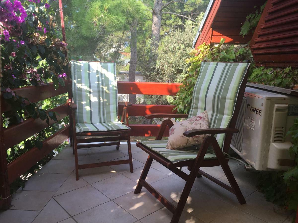 Apartmani Matas Petrčane Exterior foto